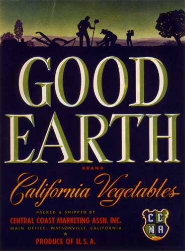 Product Image for Good Earth 18x24