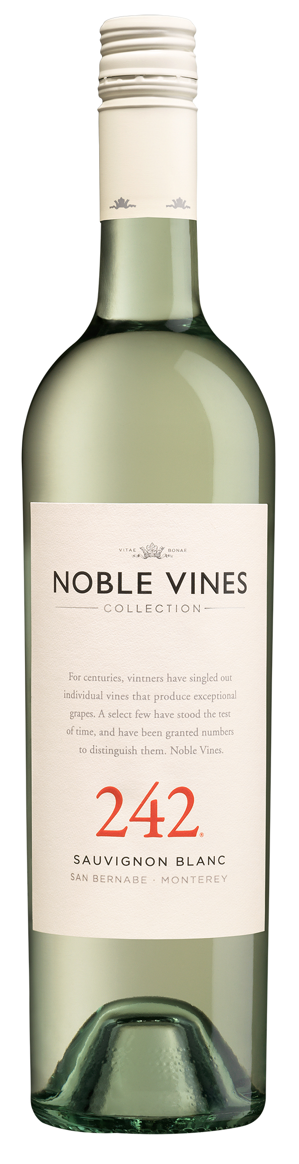 Product Image for 2022 Noble Vines 242 Sauvignon Blanc
