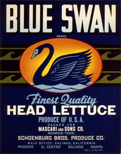 Product Image for Blue Swan 18x24