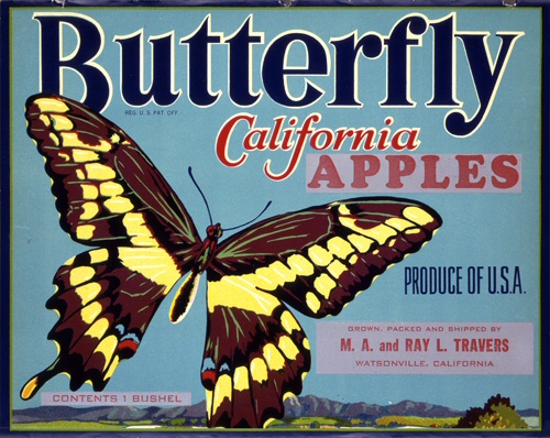 Product Image for Butterfly 18x24