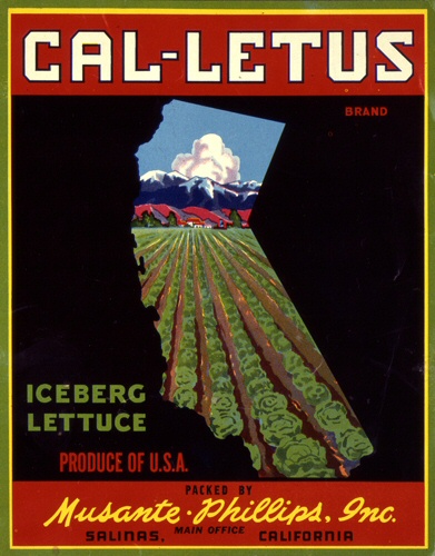 Product Image for Cal-Letus 18x24