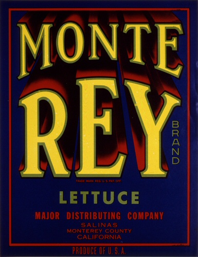 Product Image for Monte Rey 18x24