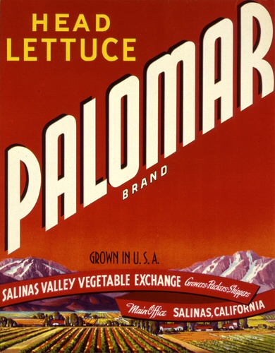 Product Image for Palomar 18x24