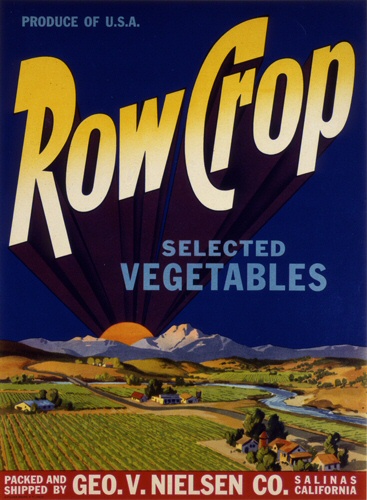Product Image for Row Crop 18x24