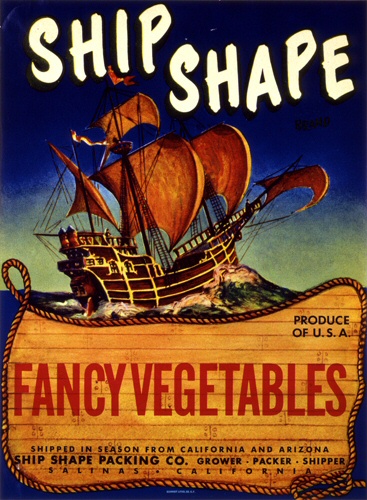 Product Image for Ship Shape 18x24