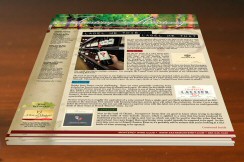 Print Newsletters