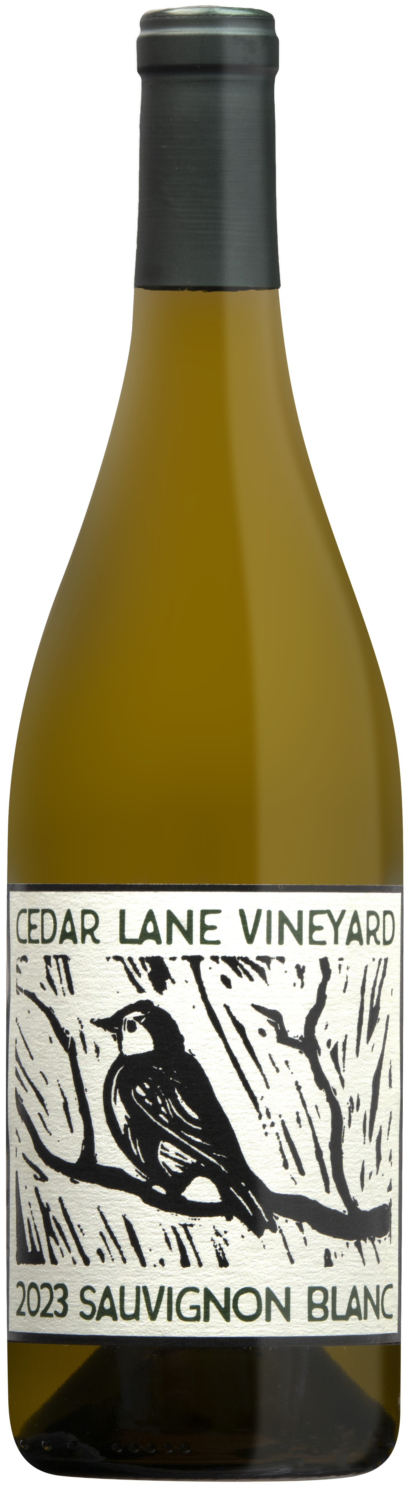 Product Image for 2024 Cedar Lane Sauvignon Blanc