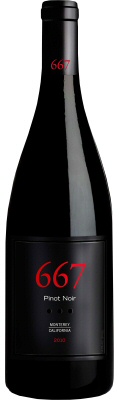 Product Image for 2021 Noble Vines 667 Pinot Noir